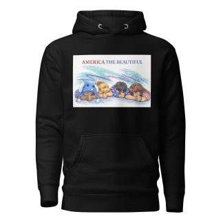 America the Beautiful Patriotic Unisex Hoodie